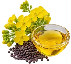 Venarix Cream - olio di semi di colza