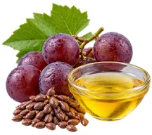 Venarix Cream - olio di vinaccioli